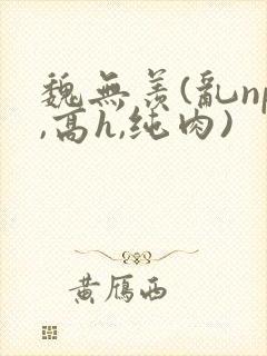 魏无羡(乱np,高h,纯肉)