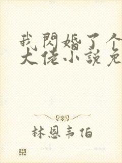 我闪婚了个财阀大佬小说免费