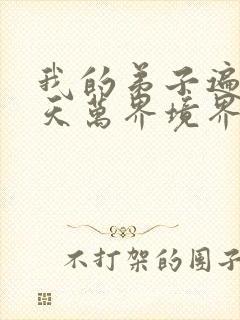 我的弟子遍布诸天万界境界划分