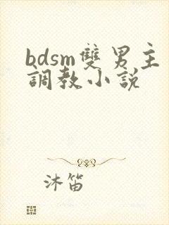 bdsm双男主调教小说