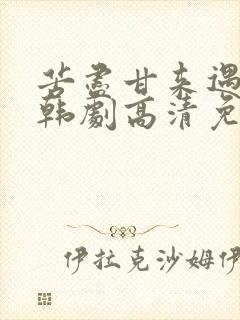 苦尽甘来遇见你韩剧高清免费观看