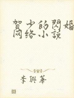 贺少的闪婚暖妻网络小说