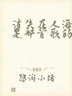 消失在人海之中是哪首歌的歌词