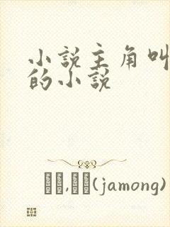 小说主角叫林天的小说