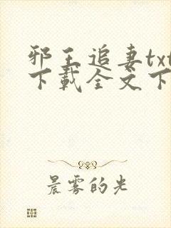 邪王追妻txt下载全文下载