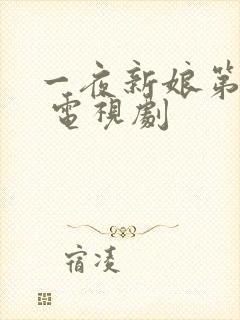 一夜新娘第二季 电视剧