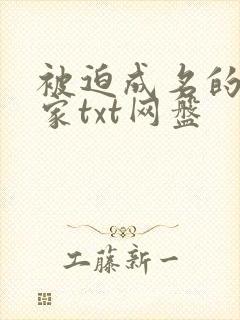 被迫成名的小说家txt网盘