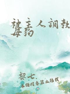 被主人调教的骚母狗