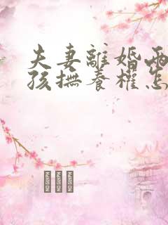 夫妻离婚两个小孩抚养权怎么判