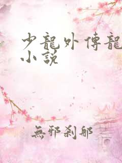少龙外传龙剑飞小说