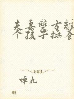 夫妻双方离婚两个孩子抚养权怎么判定