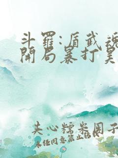 斗罗:盾武魂,开局暴打昊天锤