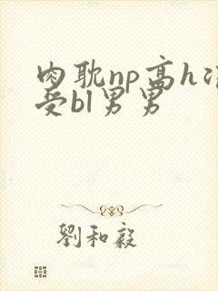 肉耽np高h浪受bl男男