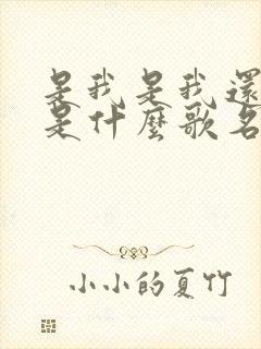 是我是我还是我是什么歌名