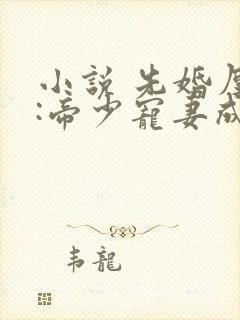 小说 先婚厚爱:帝少宠妻成瘾