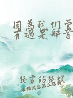 因为我们曾经拥有过是哪首歌的歌词