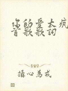 你的爱太疯是哪首歌歌词