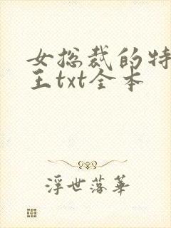 女总裁的特战兵王txt全本