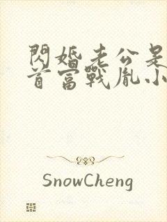 闪婚老公是千亿首富战胤小说