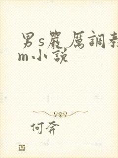 男s严厉调教女m小说