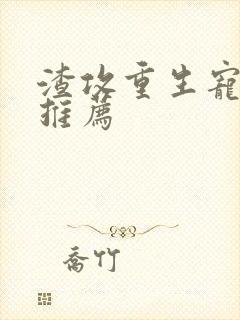 渣攻重生宠受文推荐