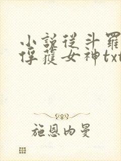 小说从斗罗开始俘获女神txt下载