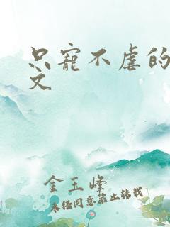 只宠不虐的甜宠文