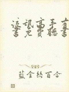 流氓高手有声听书免费听书