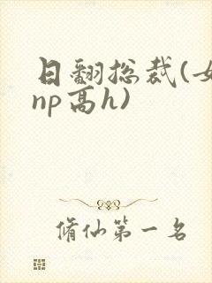 日翻总裁(女攻np高h)