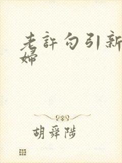 老许勾引新婚少妇