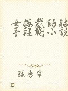 女总裁的贴身高手段飞小说