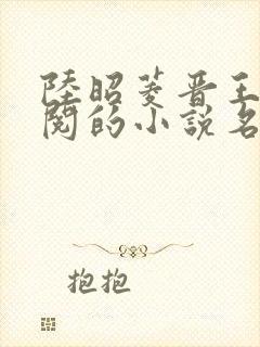 陆昭菱晋王周时阅的小说名