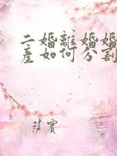 二婚离婚婚前财产如何分割新婚姻法