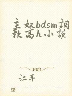 主奴bdsm调教高h小说