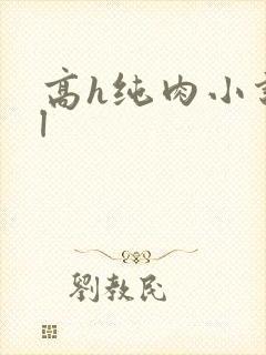 高h纯肉小说bl