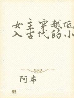 女主穿越低调融入古代的小说