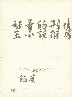 好看的刑侦双男主小说推荐