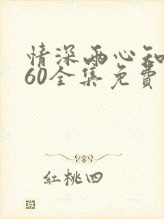 情深两心知1—60全集免费观看