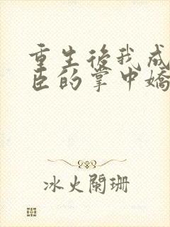 重生后我成了权臣的掌中娇类似小说