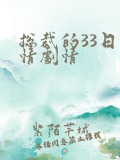 总裁的33日索情剧情