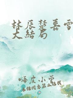 林辰楚嘉雪小说大结局