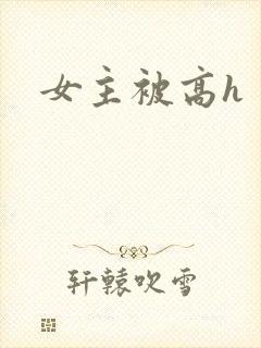 女主被高h