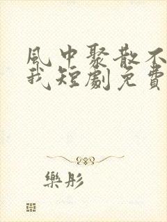 风中聚散不由你我短剧免费观看