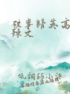 破事精英高h肉辣文