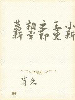 万相之王小说最新章节更新时间