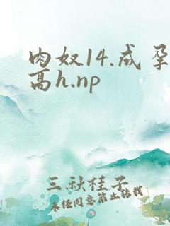 肉奴14.成孕高h.np