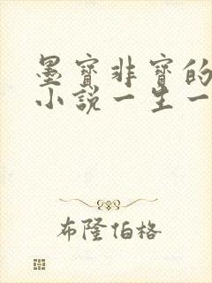 墨宝非宝的全部小说一生一世系列