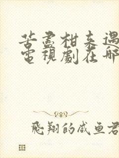 苦尽柑来遇见你电视剧在哪个平台