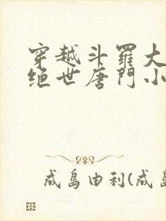 穿越斗罗大陆2绝世唐门小说