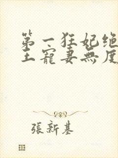 第一狂妃绝色邪王宠妻无度人物